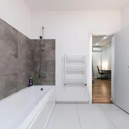 Ultracentral Spacious 4br Bükreş